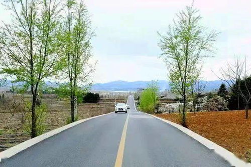 人民日報(bào)頭版 貴州農(nóng)村公路四通八達(dá)