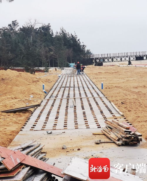 原創組圖 ?？谖骱０敦炌ǜ鹿こ套钚逻M展 國際會展中心附近沿海新建路完成瀝青路面鋪設